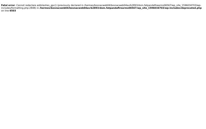 Screenshot of fatpandafirearms.com