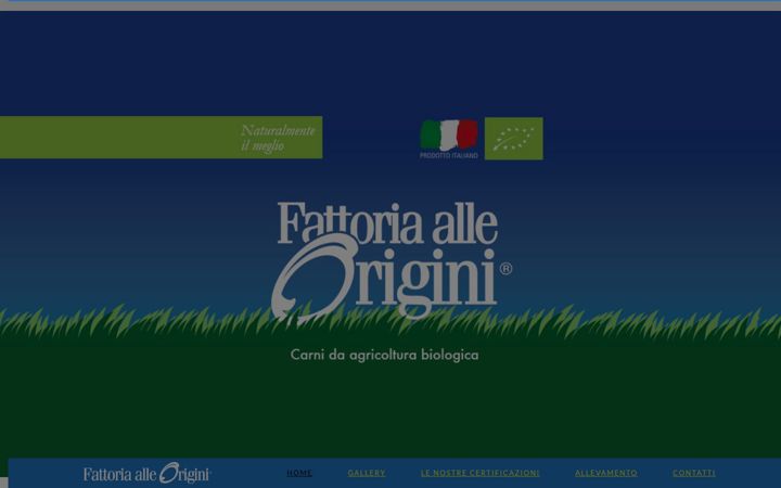 Screenshot of fattoriaalleorigini.it