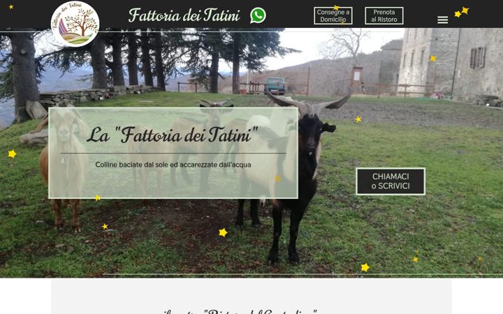 Screenshot of fattoriadeitatini.it