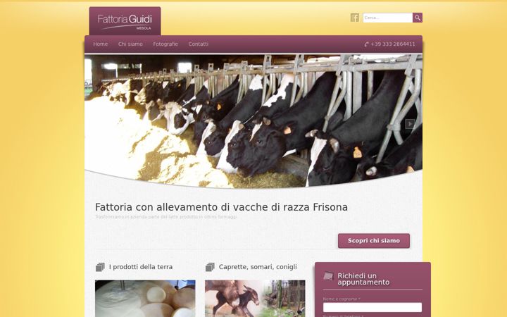 Screenshot of fattoriaguidimesola.it