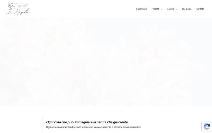 Screenshot of fattorialamagnolia.it