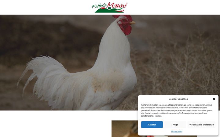 Screenshot of fattoriamanni.it