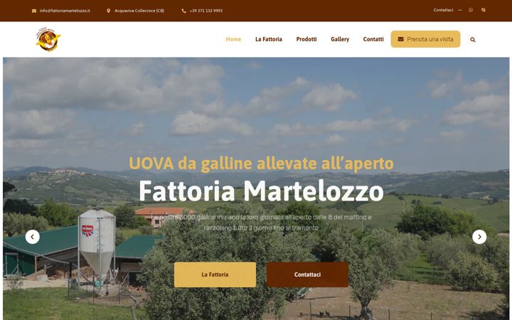 Screenshot of fattoriamartelozzo.it