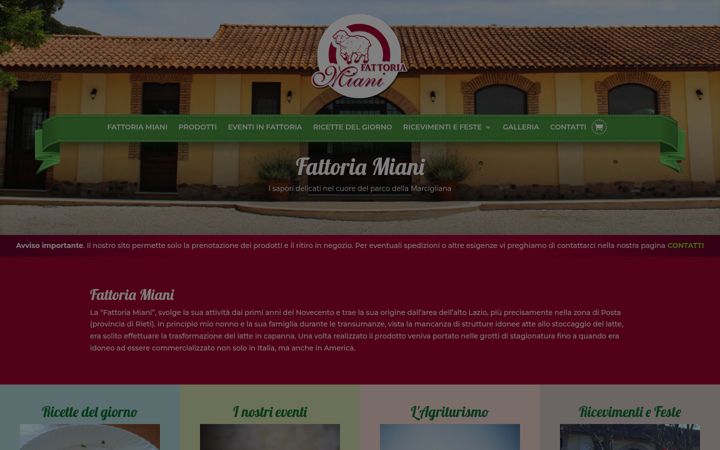 Screenshot of fattoriamiani.it