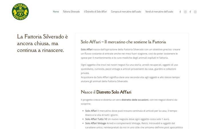 Screenshot of fattoriasilverado.it