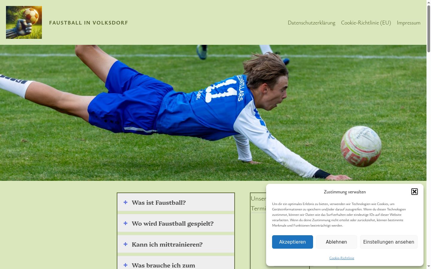 Screenshot van de toestemmingsbanner zoals getoond vóór enige interactie