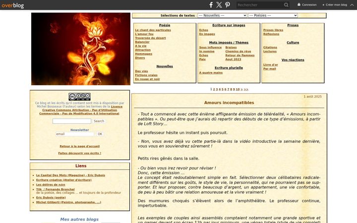 Skjámynd af fauxreveur.net