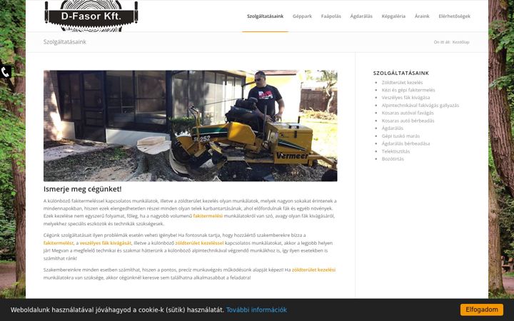 Screenshot of favagas-dfasor.hu