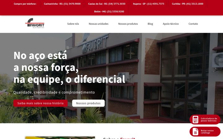 Screenshot of favorit.com.br