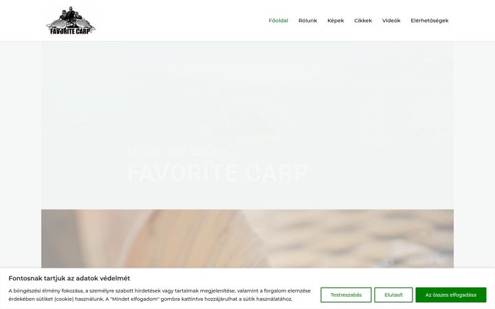 Screenshot of favoritecarp.hu