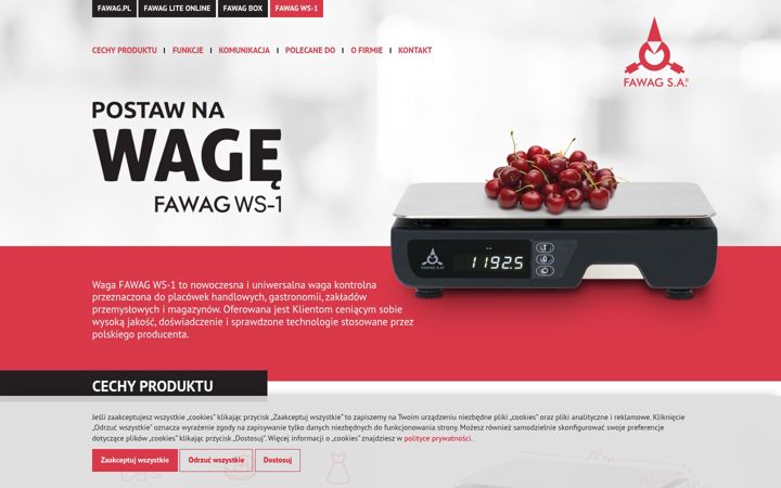 Screenshot of fawagws1.pl