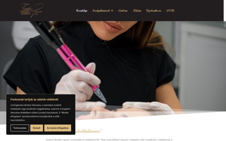 Screenshot of fazekasrenipmu.hu