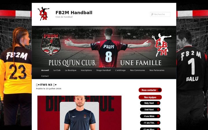 Screenshot of fb2m.fr