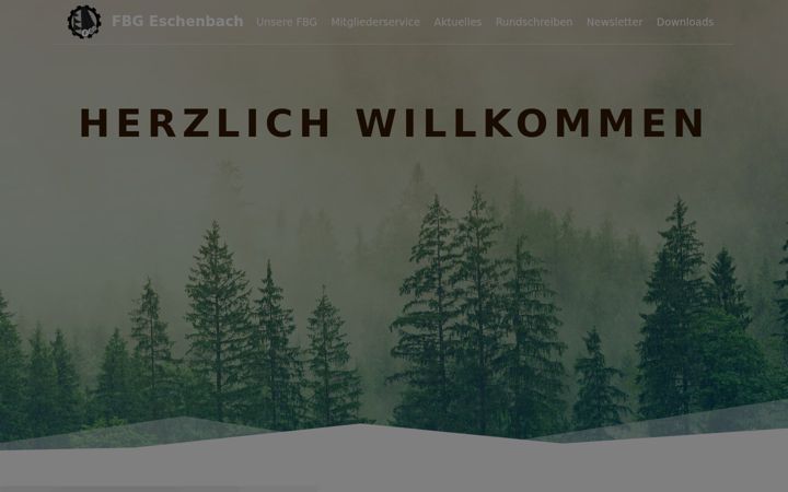 Screenshot of fbg-eschenbach.de