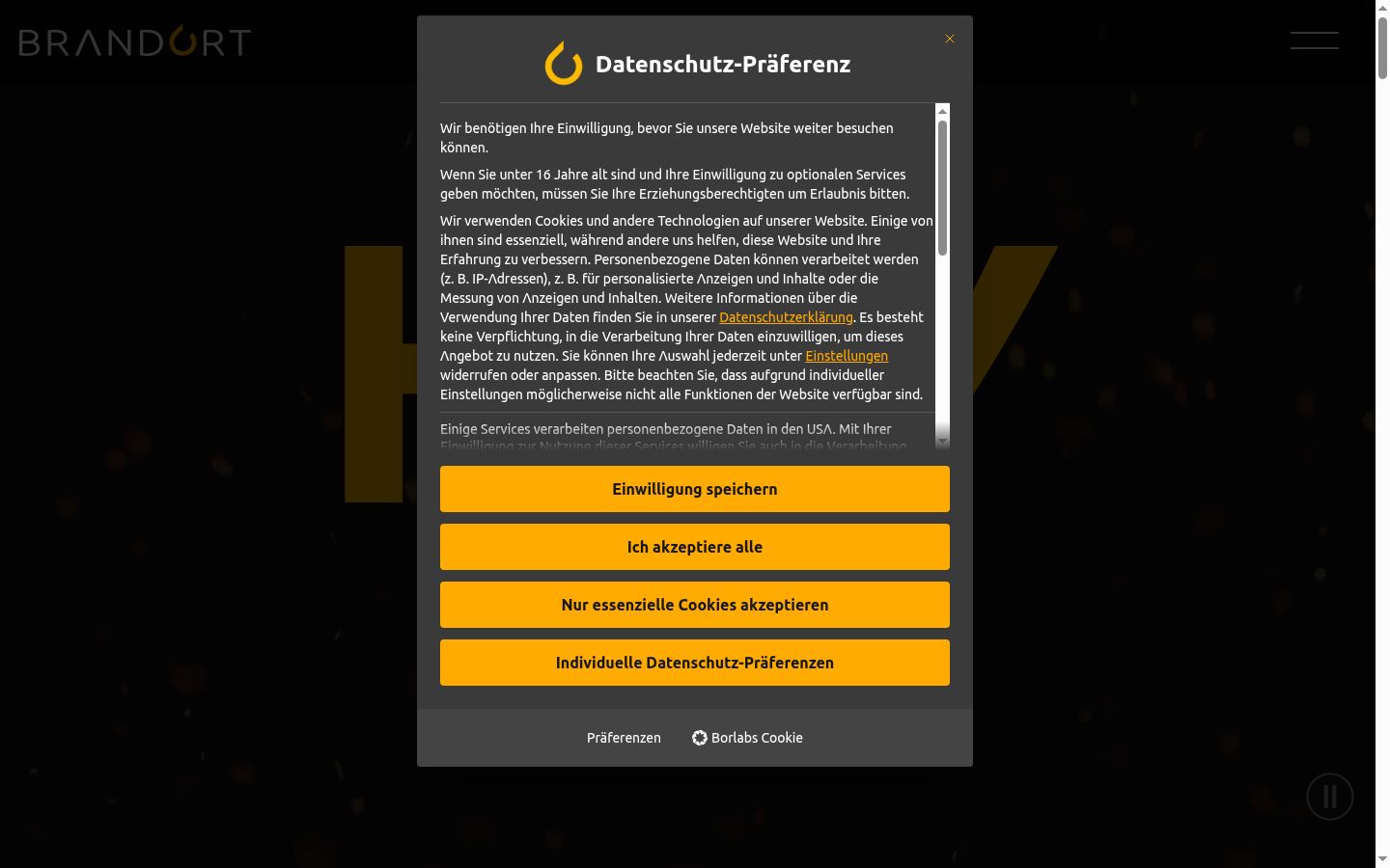 Sutikimo reklamjuostės, rodytos prieš bet kokią sąveiką, ekrano kopija