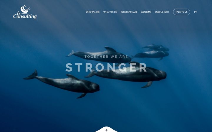 Screenshot of fcarreiroconsulting.com