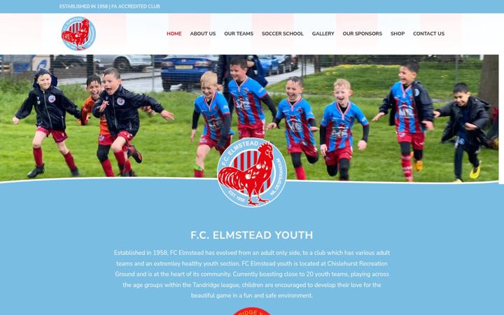 Screenshot of fcelmsteadyouth.com