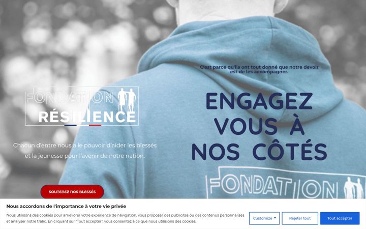 Screenshot of fd-resilience.org