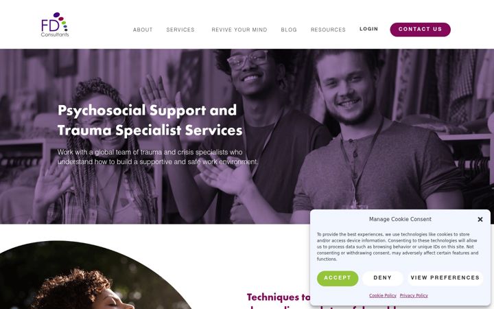 Snímek obrazovky fdconsultants.net