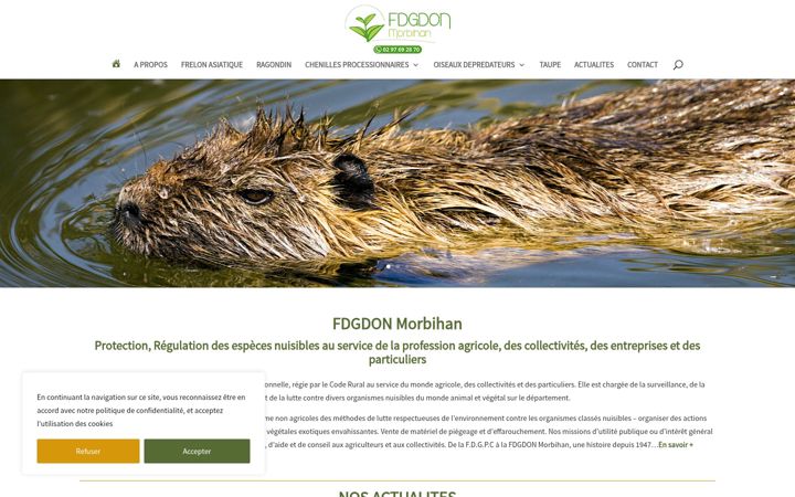 Screenshot of fdgdon56.fr