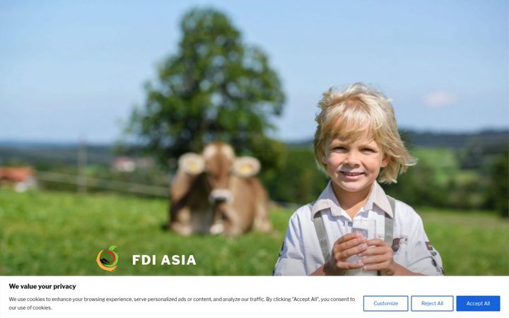 Screenshot of fdi-asia.com