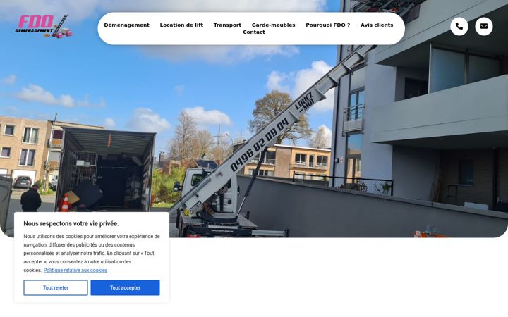 Screenshot of fdo-demenagement.be