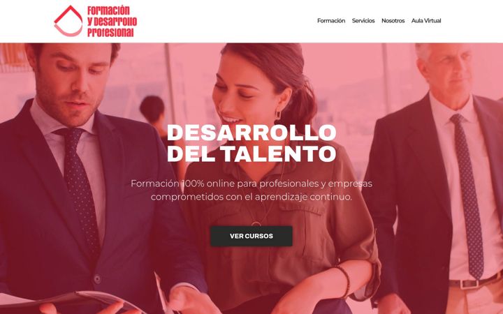Screenshot of fdprofesional.com