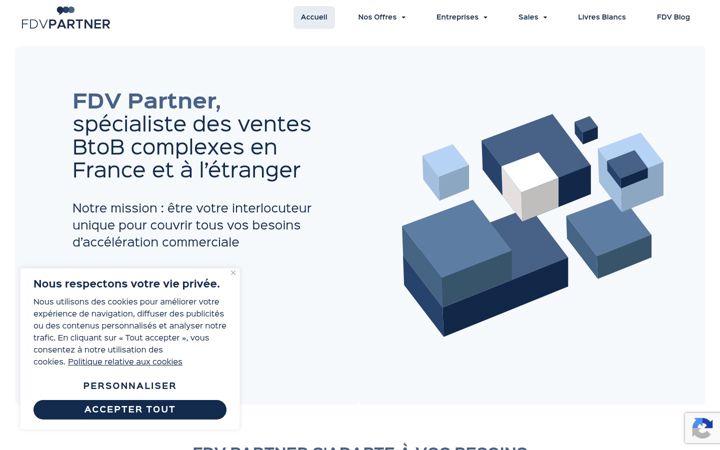 Screenshot of fdvpartner.com