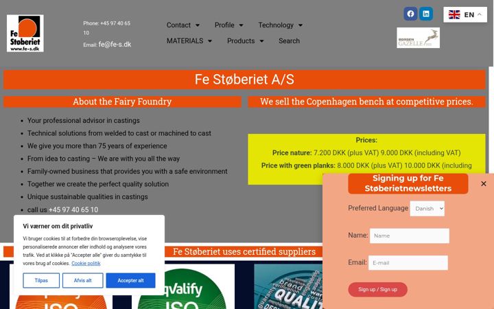 Screenshot of fe-s.dk