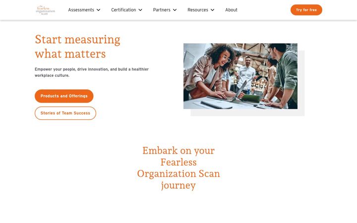 fearlessorganizationscan.com