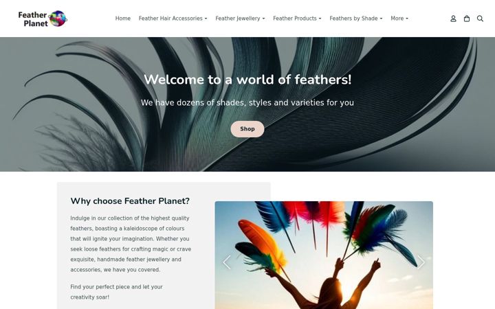 Screenshot of featherplanet.com