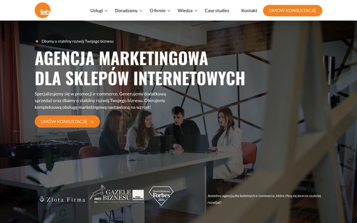 Screenshot of feb.net.pl