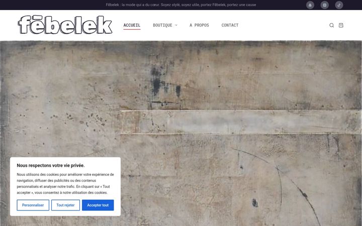 Screenshot of febelek.com