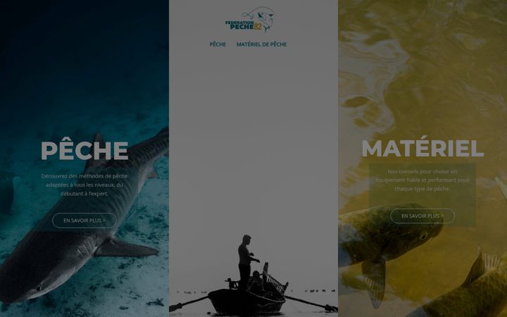 Screenshot of federationpeche82.com