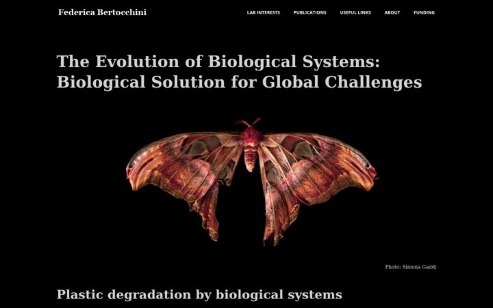 Screenshot of federicabertocchini.com