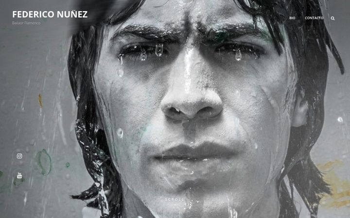 Screenshot of federiconunez.art