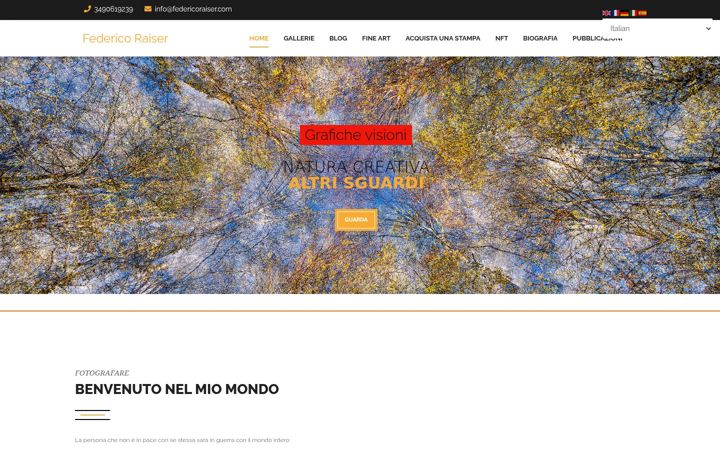 Screenshot of federicoraiser.com