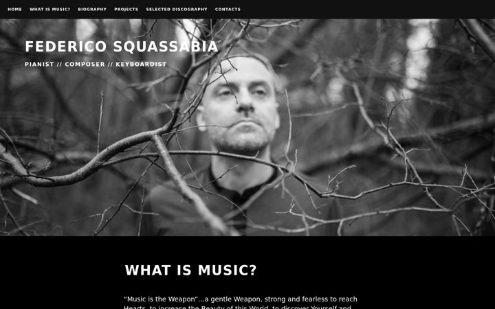 Screenshot of federicosquassabia.com