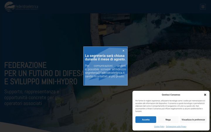 Screenshot of federidroelettrica.eu