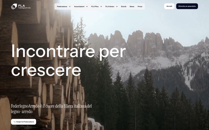 Screenshot of federlegno.net