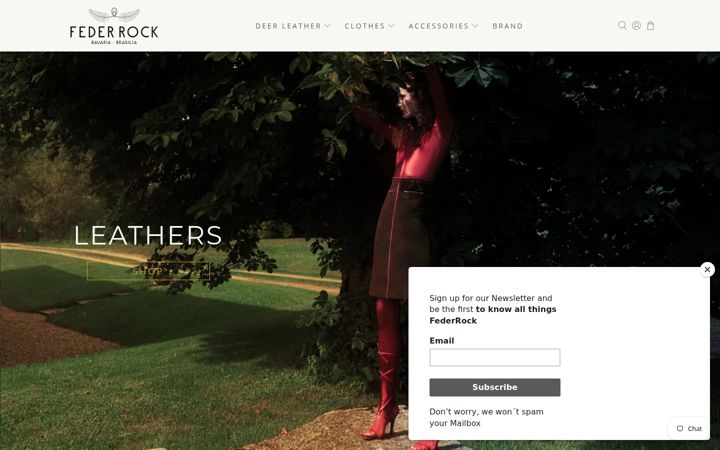 Screenshot of federrock.com