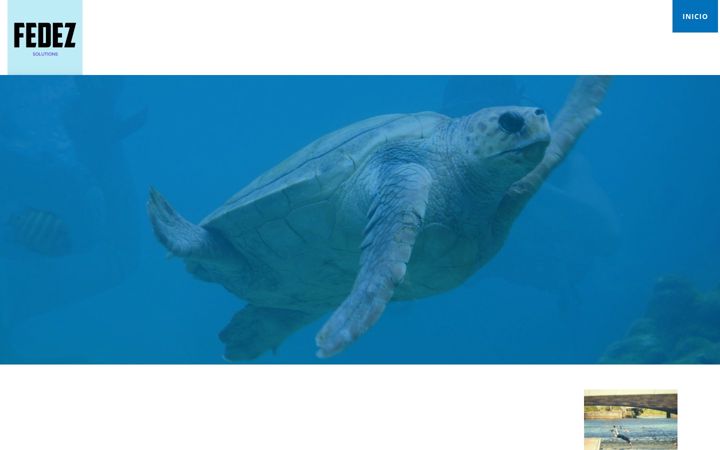Screenshot of fedezsol.com.mx