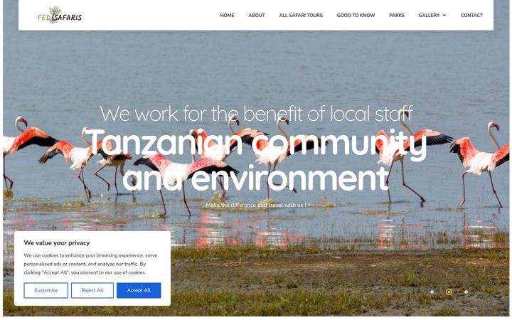 Screenshot of fedtoursandsafaris.com