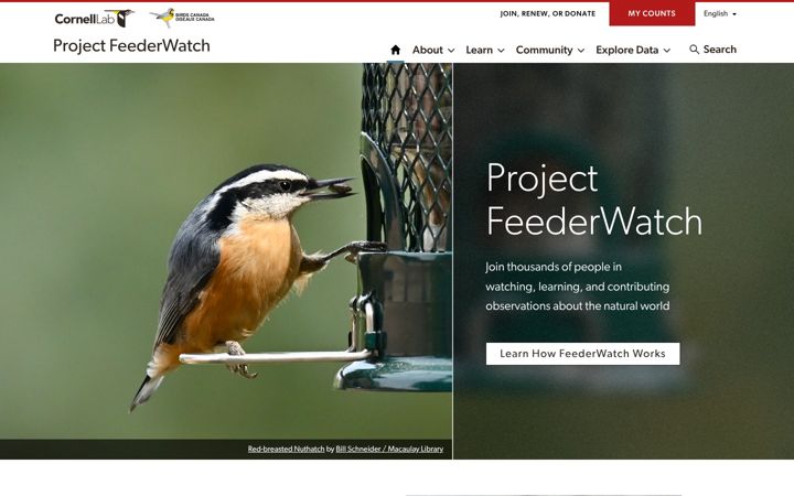 Screenshot of feederwatch.org
