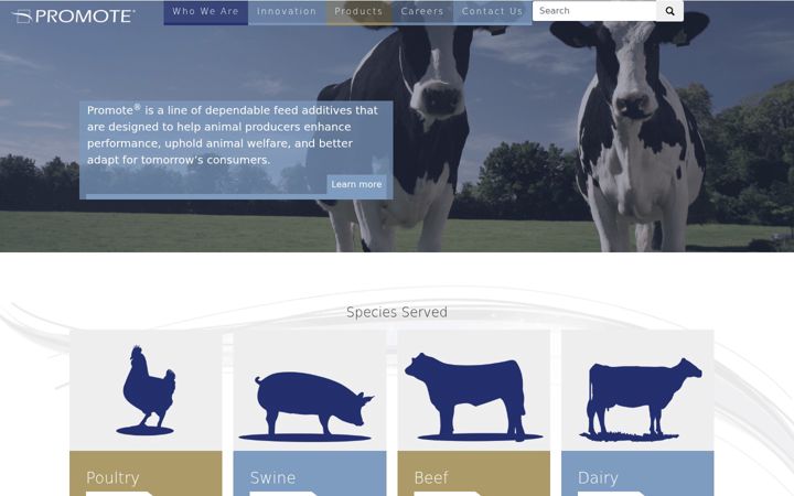 Screenshot of feedpromote.com