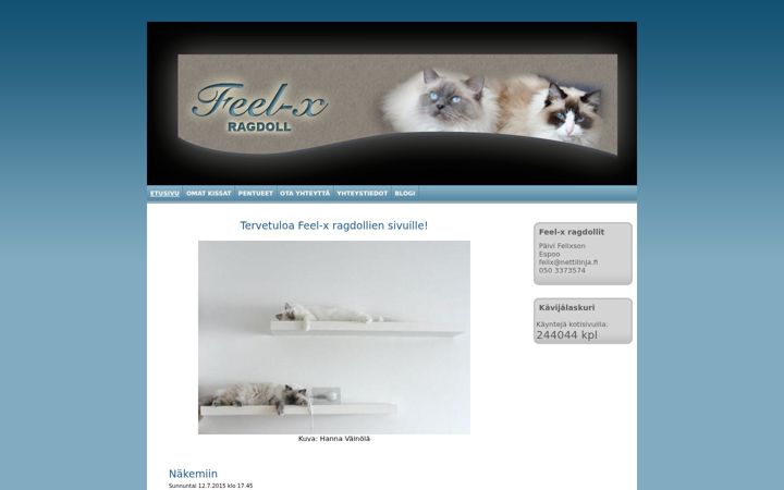 Screenshot of feel-x.fi