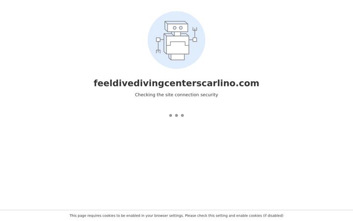 Screenshot of feeldivedivingcenterscarlino.com