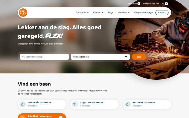 Screenshot of feelflex.nl