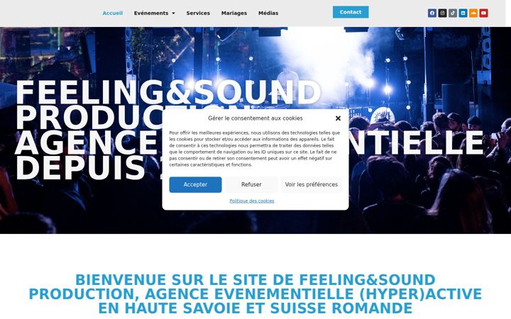 Screenshot of feelingandsound.com