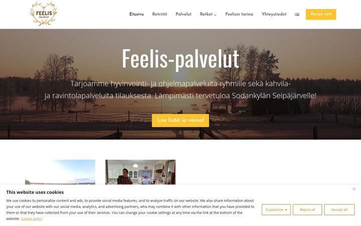 Screenshot stránky feelispalvelut.fi